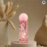 Clear Pink Square Lipstick Casing 3-5g Desain Elegan Modern Warna Transparan Nuansa Merah Muda